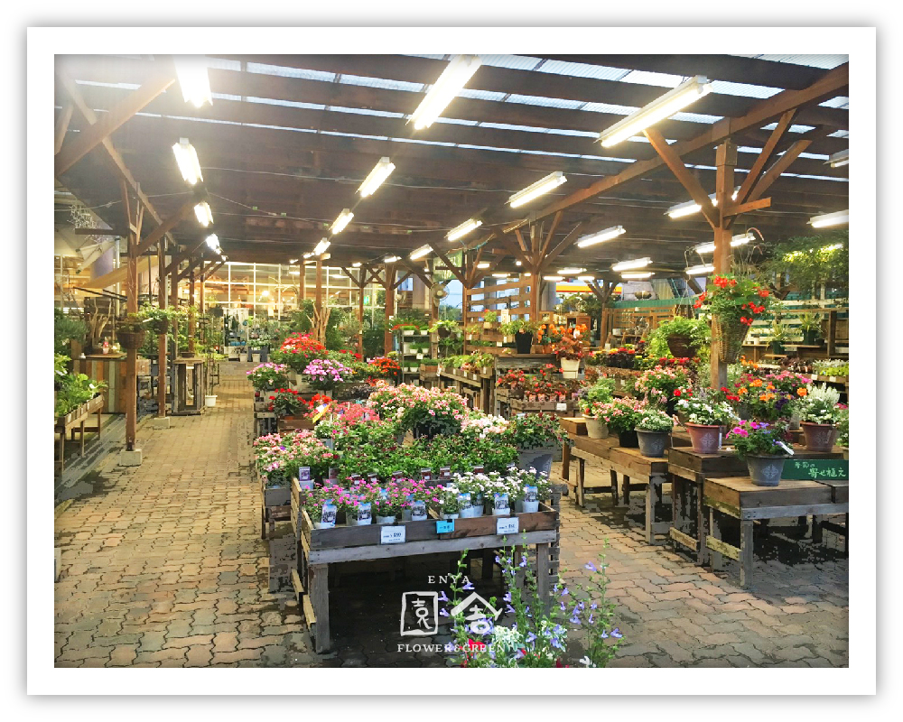 フラワーショップ園舎神戸店画像