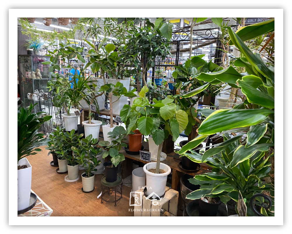 フラワーショップ園舎森ノ宮店画像