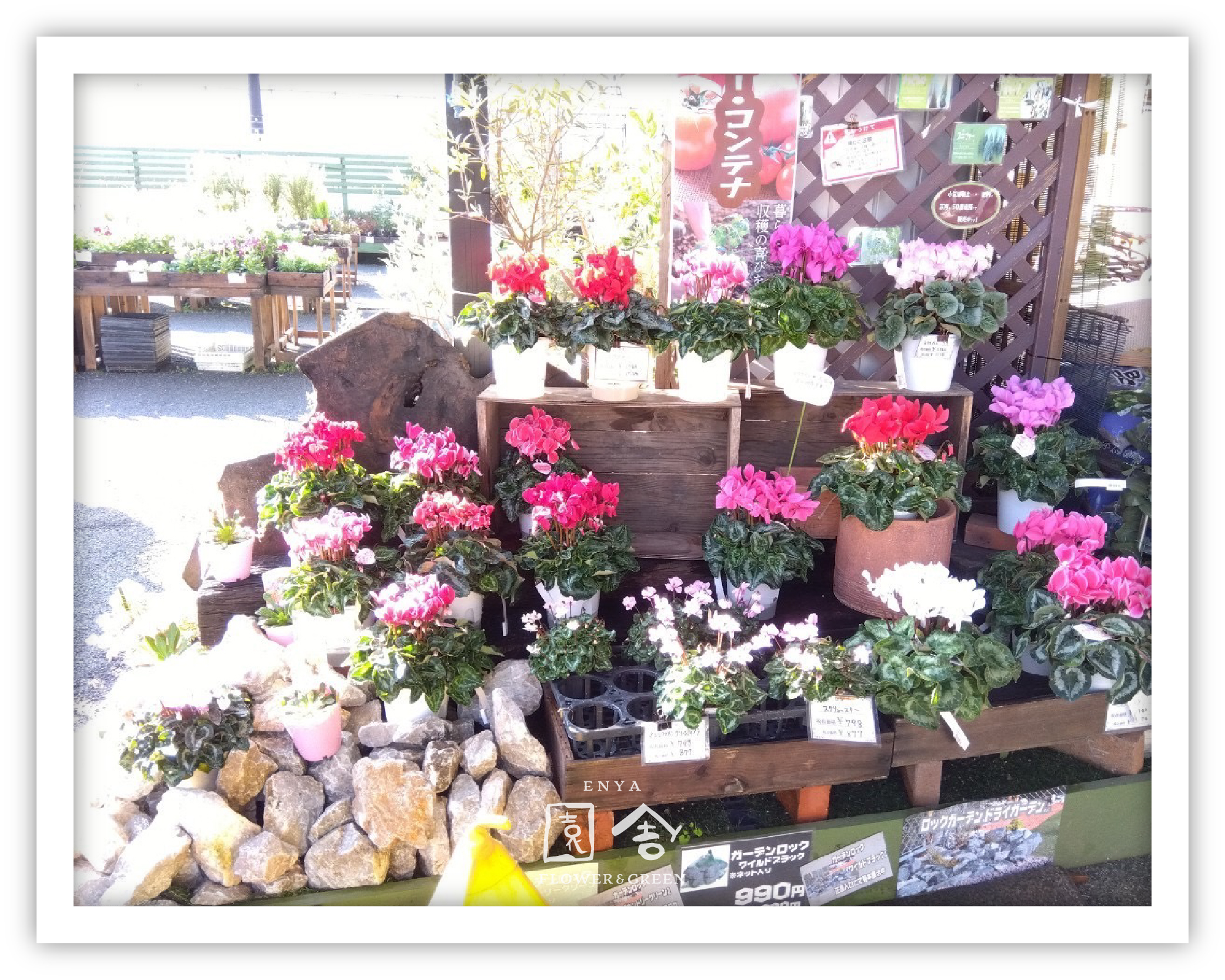 フラワーショップ園舎奈良店画像