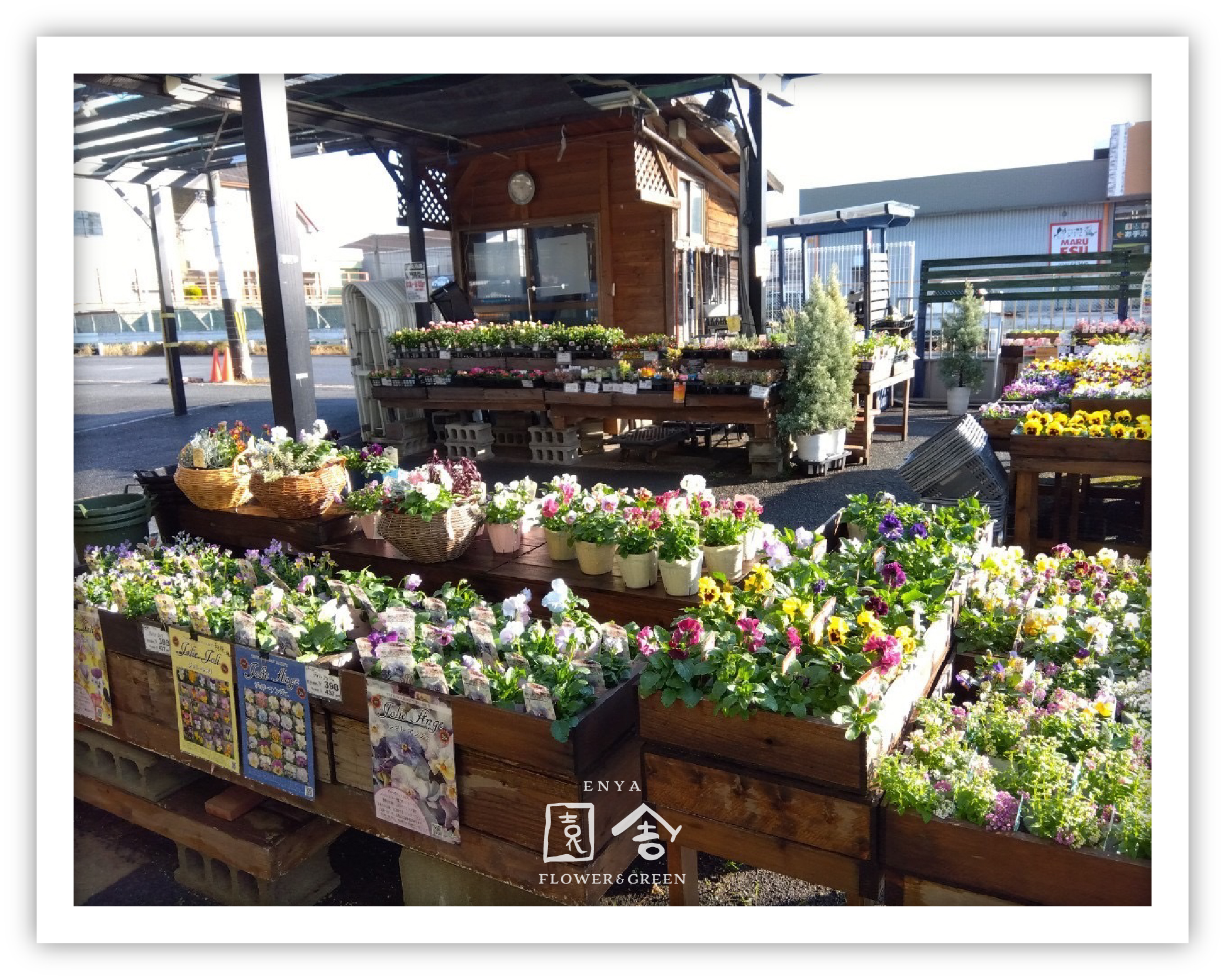 フラワーショップ園舎奈良店画像