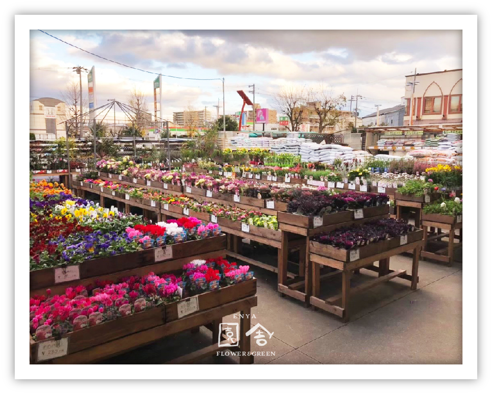 フラワーショップ園舎堺店画像