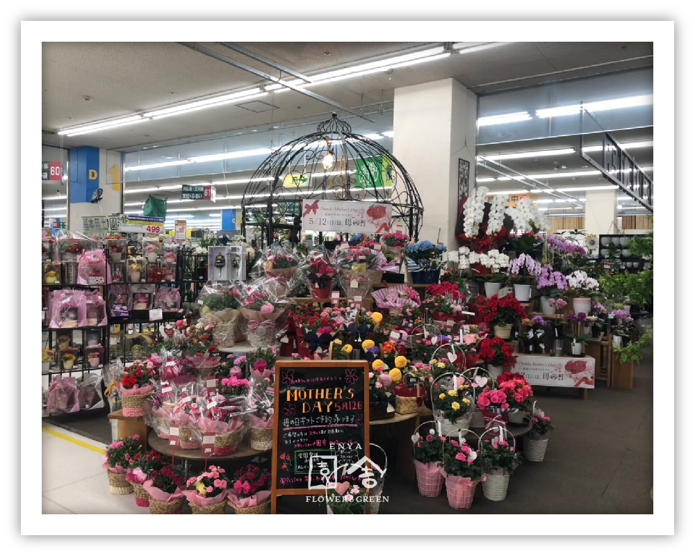 フラワーショップ園舎堺店画像