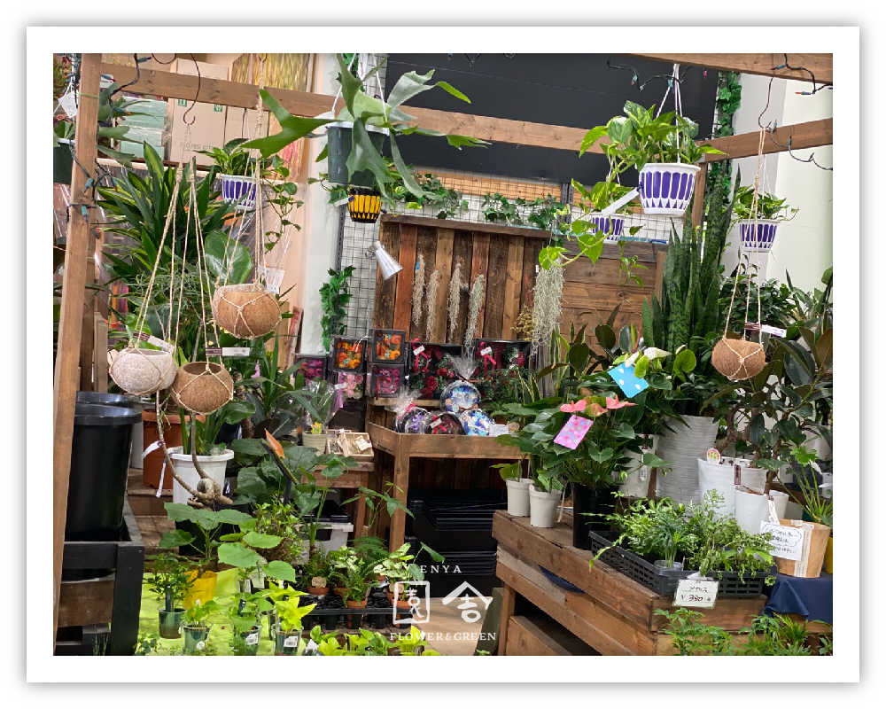 フラワーショップ園舎東灘魚崎店画像