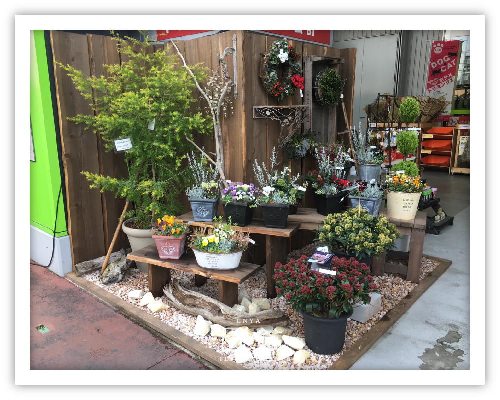 フラワーショップ園舎東灘魚崎店画像